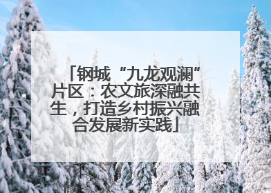 钢城“九龙观澜”片区：农文旅深融共生，打造乡村振兴融合发展新实践