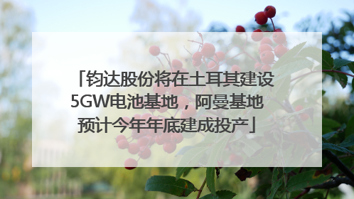 钧达股份将在土耳其建设5GW电池基地，阿曼基地预计今年年底建成投产