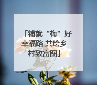 铺就“梅”好幸福路 共绘乡村致富图