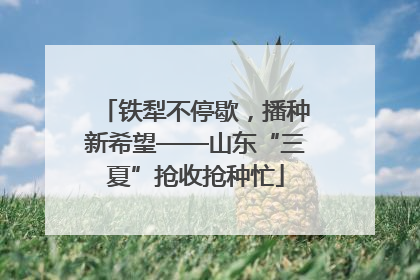 铁犁不停歇，播种新希望——山东“三夏”抢收抢种忙