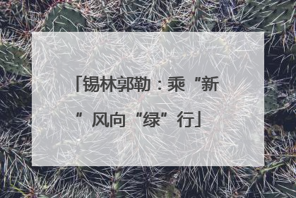 锡林郭勒：乘“新”风向“绿”行