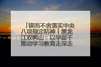 锲而不舍落实中央八项规定精神丨黑龙江双鸭山：以学促干推动学习教育走深走实 从小事入手写好“民生答卷”