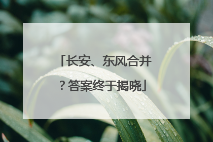长安、东风合并？答案终于揭晓