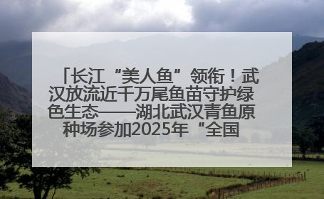 长江“美人鱼”领衔！武汉放流近千万尾鱼苗守护绿色生态——湖北武汉青鱼原种场参加2025年“全国放鱼日”增殖放流活动