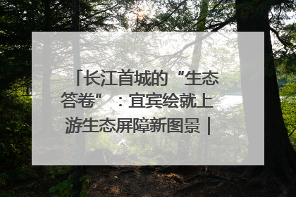 长江首城的“生态答卷”：宜宾绘就上游生态屏障新图景｜中华环保世纪行