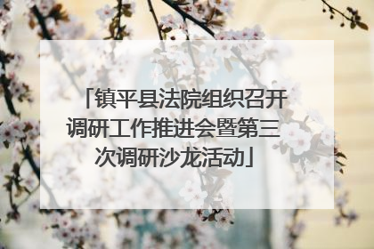 镇平县法院组织召开调研工作推进会暨第三次调研沙龙活动