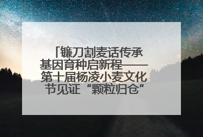 镰刀割麦话传承 基因育种启新程——第十届杨凌小麦文化节见证“颗粒归仓”时空跨越