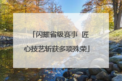 闪耀省级赛事  匠心技艺斩获多项殊荣