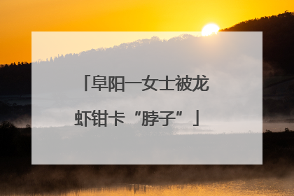 阜阳一女士被龙虾钳卡“脖子”