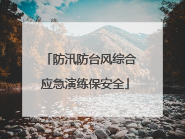 防汛防台风综合应急演练保安全
