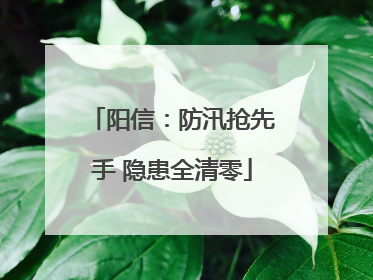阳信：防汛抢先手 隐患全清零