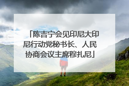 陈吉宁会见印尼大印尼行动党秘书长、人民协商会议主席穆扎尼