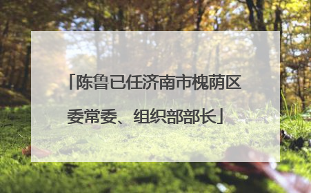 陈鲁已任济南市槐荫区委常委、组织部部长