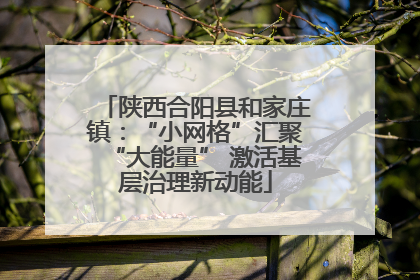 陕西合阳县和家庄镇：“小网格”汇聚“大能量” 激活基层治理新动能