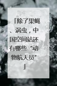 除了果蝇、涡虫，中国空间站还有哪些“动物航天员”