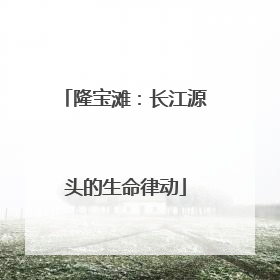 隆宝滩：长江源头的生命律动
