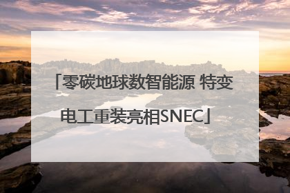 零碳地球数智能源 特变电工重装亮相SNEC