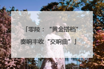 零陵：“黄金搭档”奏响丰收“交响曲”