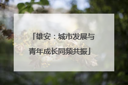 雄安：城市发展与青年成长同频共振