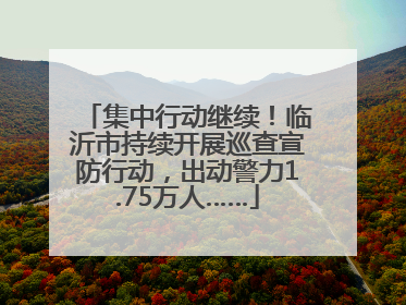 集中行动继续！临沂市持续开展巡查宣防行动，出动警力1.75万人……
