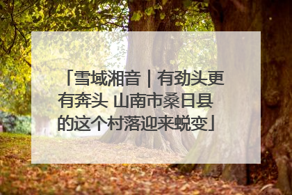 雪域湘音｜有劲头更有奔头 山南市桑日县的这个村落迎来蜕变