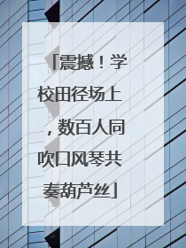 震撼！学校田径场上，数百人同吹口风琴共奏葫芦丝