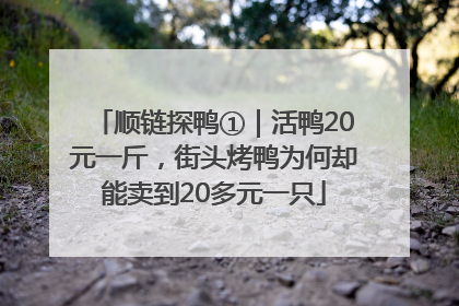 顺链探鸭①｜活鸭20元一斤，街头烤鸭为何却能卖到20多元一只