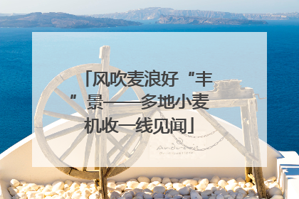 风吹麦浪好“丰”景——多地小麦机收一线见闻