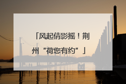 风起倩影摇！荆州“荷您有约”