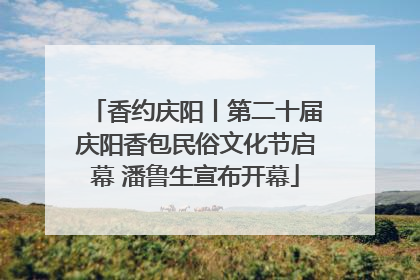 香约庆阳丨第二十届庆阳香包民俗文化节启幕 潘鲁生宣布开幕