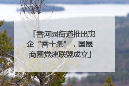 香河园街道推出惠企“香十条”，国展商圈党建联盟成立