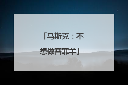 马斯克：不想做替罪羊