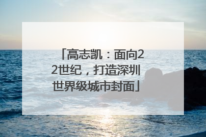 高志凯：面向22世纪，打造深圳世界级城市封面