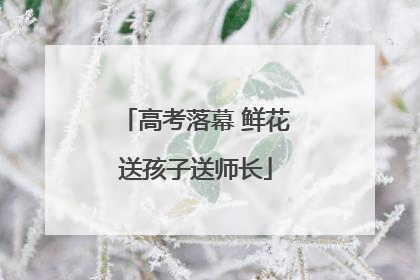 高考落幕 鲜花送孩子送师长