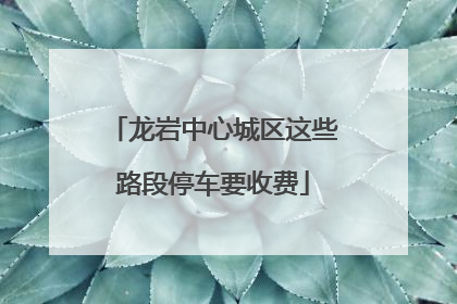 龙岩中心城区这些路段停车要收费