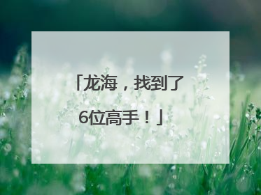 龙海，找到了6位高手！