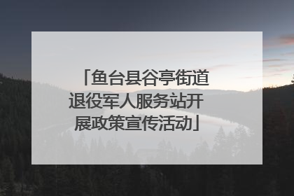 鱼台县谷亭街道退役军人服务站开展政策宣传活动