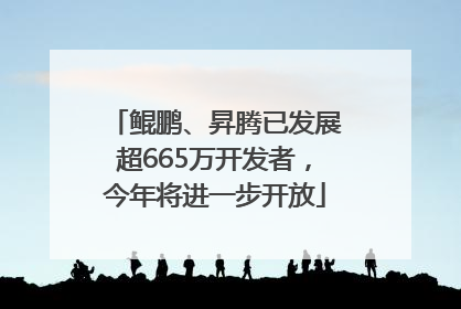 鲲鹏、昇腾已发展超665万开发者，今年将进一步开放