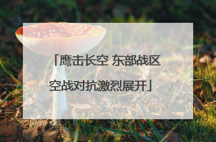 鹰击长空 东部战区空战对抗激烈展开