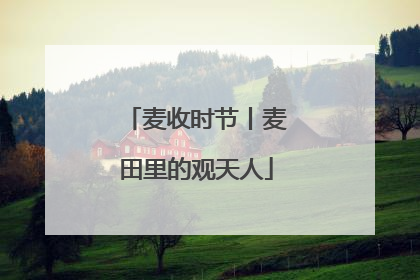 麦收时节丨麦田里的观天人