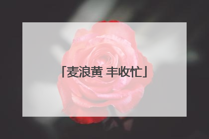 麦浪黄 丰收忙
