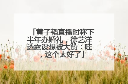 黄子韬直播时称下半年办婚礼，徐艺洋透露设想被大赞：哇，这个太好了
