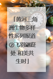 黄河三角洲生物多样性系列报道②飞羽翩跹处 和美共生时