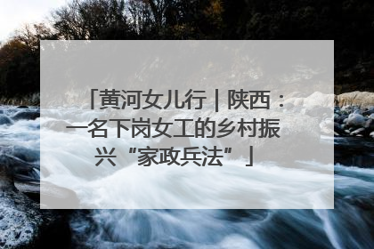 黄河女儿行｜陕西：一名下岗女工的乡村振兴“家政兵法”
