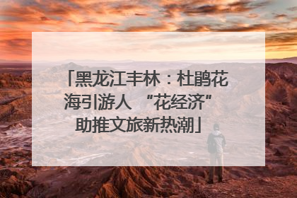黑龙江丰林：杜鹃花海引游人 “花经济”助推文旅新热潮