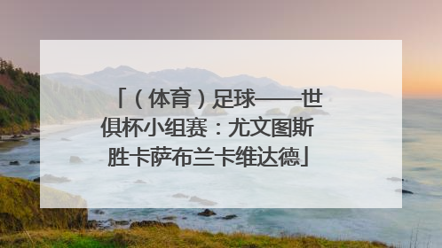 （体育）足球——世俱杯小组赛：尤文图斯胜卡萨布兰卡维达德