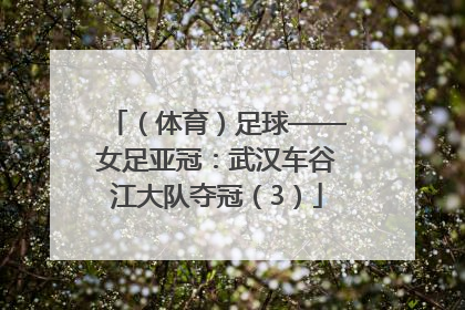 （体育）足球——女足亚冠：武汉车谷江大队夺冠（3）