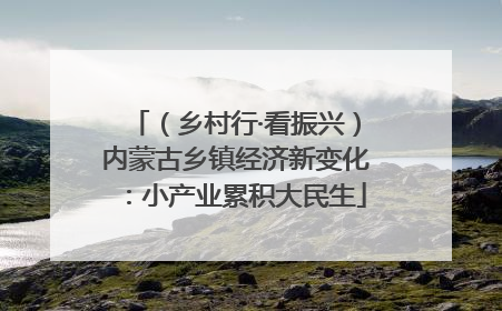 （乡村行·看振兴）内蒙古乡镇经济新变化：小产业累积大民生