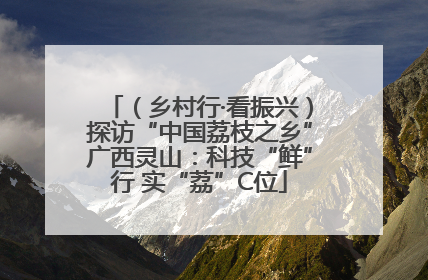 （乡村行·看振兴）探访“中国荔枝之乡”广西灵山：科技“鲜”行 实“荔”C位