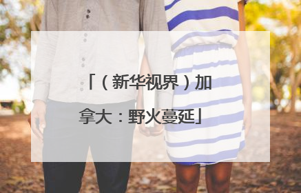 （新华视界）加拿大：野火蔓延